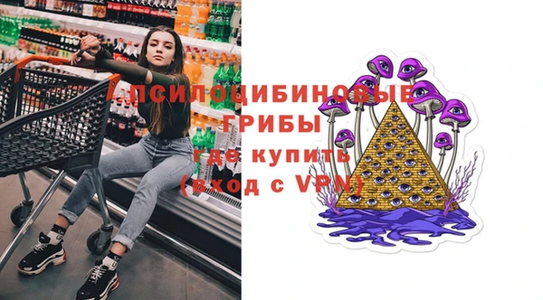 дмт Новокубанск