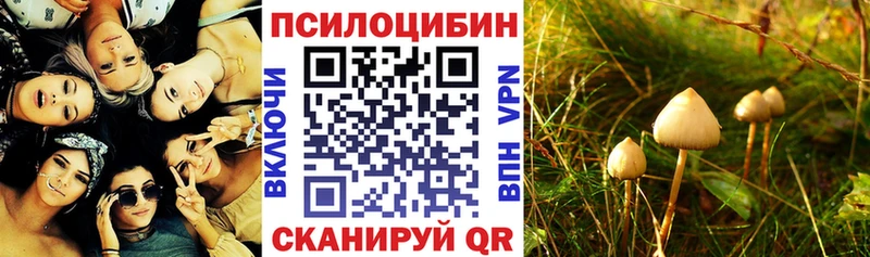 наркота  Болгар  Галлюциногенные грибы GOLDEN TEACHER 